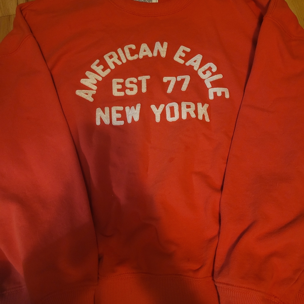 American Eagle Outfitters Bold Red Crewneck Sweater